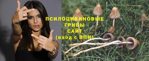 стафф Зеленодольск