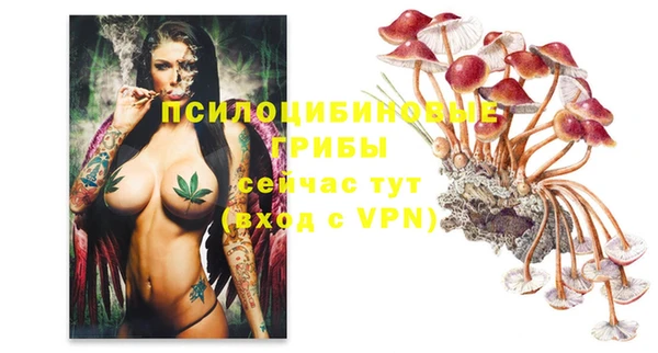 стафф Зеленодольск