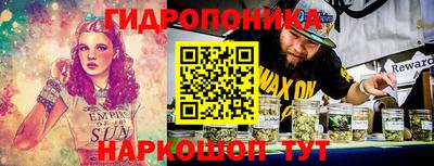 гашик Ливны