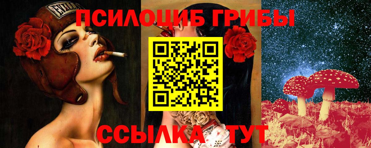 Камень-на-Оби  Галлюциногенные грибы GOLDEN TEACHER  Псилоцибиновые грибы ЛСД  Вход с VPN 